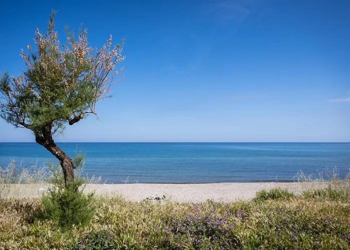 住宿加早餐酒店 Incanto 切法卢
