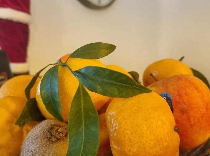 Incanto Alojamento de Acomodação e Pequeno-almoço 4*